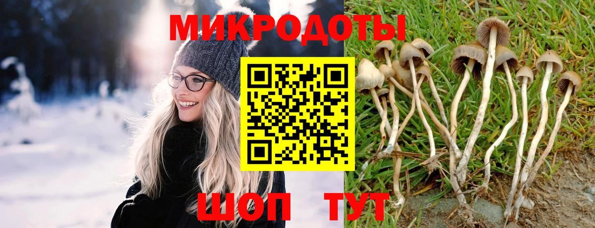 Псилоцибиновые грибы MAGIC MUSHROOMS Заводоуковск