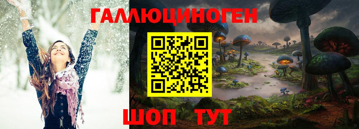Заводоуковск  цены   Вход с VPN  Галлюциногенные грибы MAGIC MUSHROOMS 